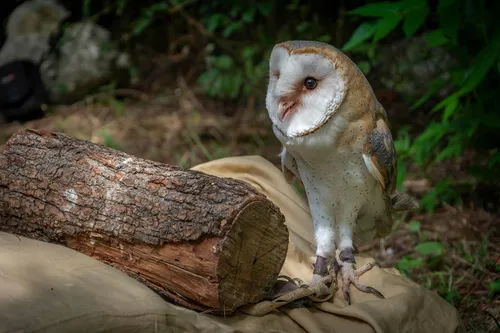 abruzzo-5728981_1280