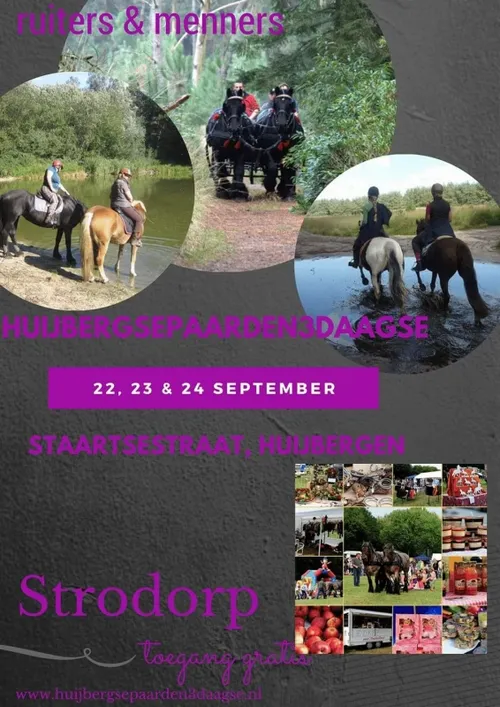 2017 804 woe paarden3daagse 001