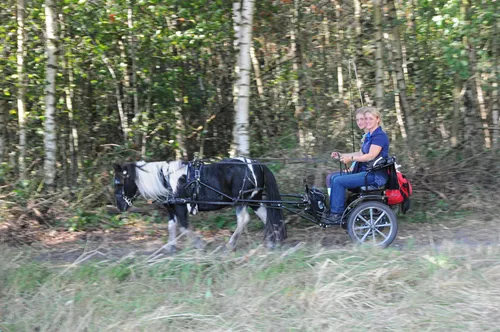 2017 804 woe paarden3daagse 002