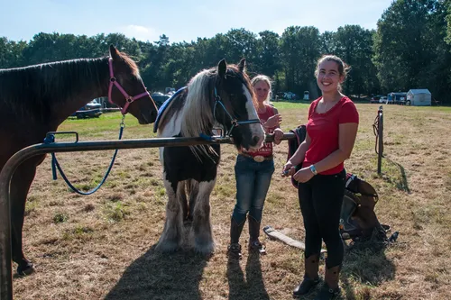 2017 804 woe paarden3daagse 003