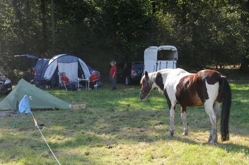 2017 804 woe paarden3daagse 005