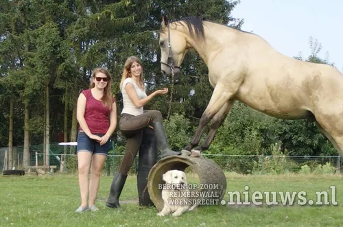 20170908 huij paarden3daagse 003