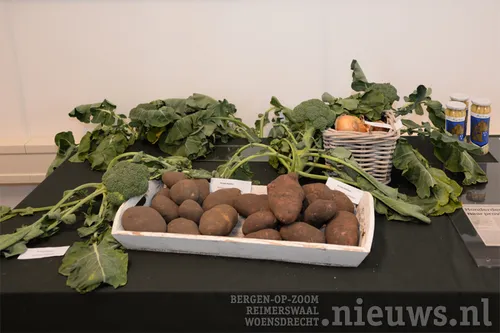 20171105 huij heemkunde 006