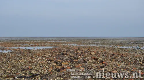 20171123 yerseke 002