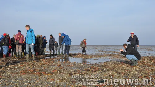 20171123 yerseke 003