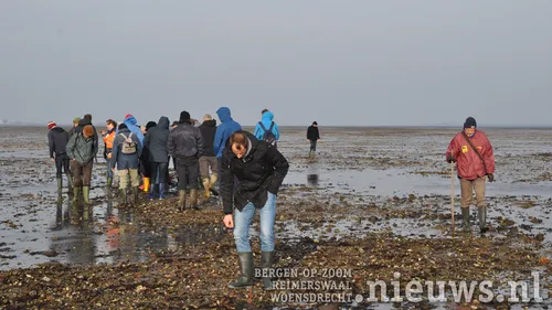 20171123 yerseke 004