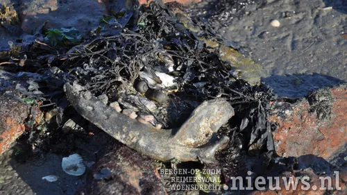 20171123 yerseke 005