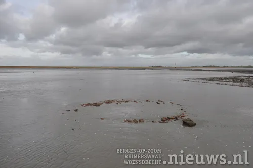 20171209 ril wandeling 005