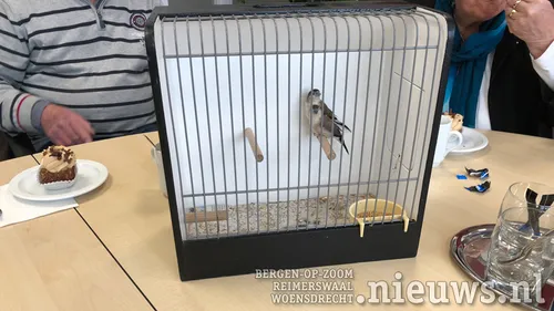 20180208 hoo van der linden 002