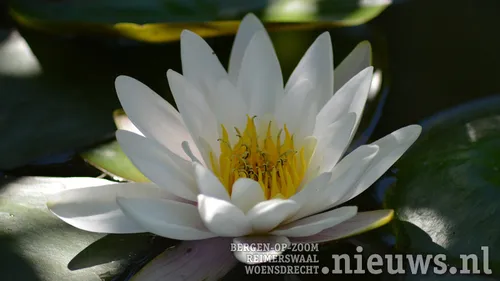 20180215 oss stilteochtend