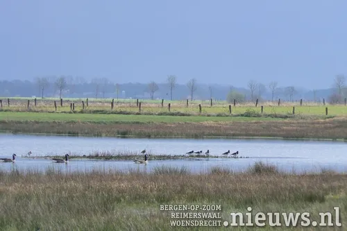 20180305 boz groenezoom 002
