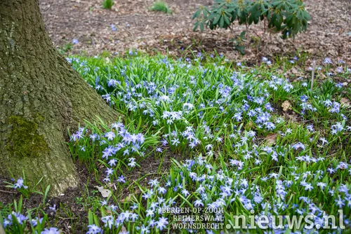 20180403 oss 8 lanen 009