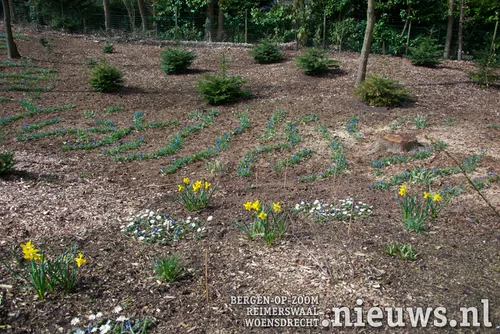 20180403 oss 8 lanen 011