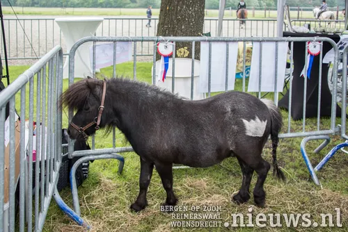 20180602 hoo kika dag 007