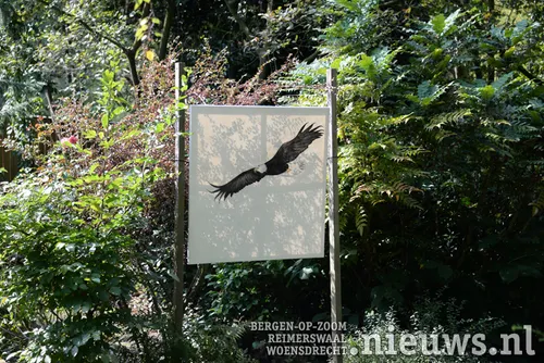 20180901 oss expositie 006