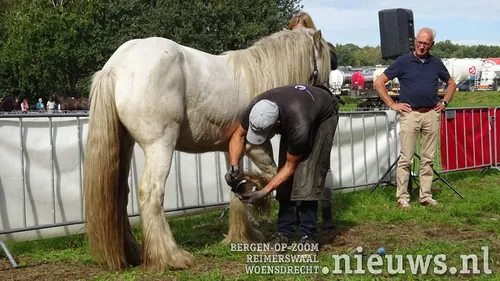 20180909 boerendag 08