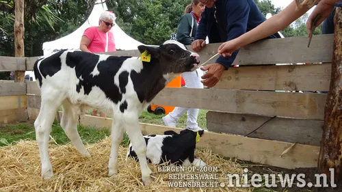 20180909 boerendag 15
