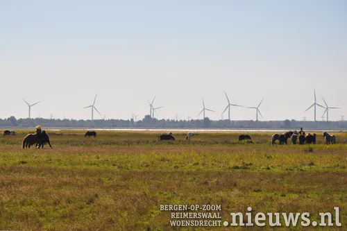 20180927 boz ijslanders 006