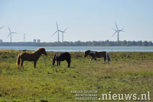 20180927 boz ijslanders 008