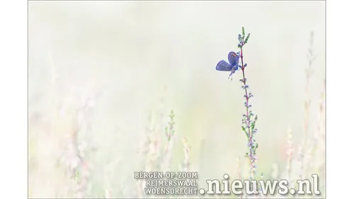 20181026 hoo foto vince pellegrom