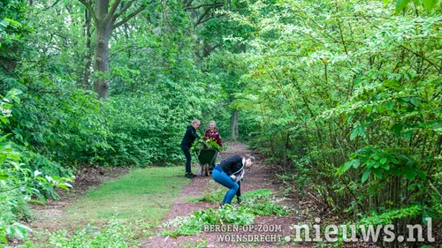 20190525 hoo begraafplaats 006