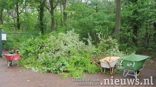 20190525 hoo begraafplaats 009