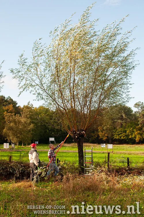 20191102 huij vijverhoeve 013