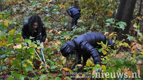 20191105 boz natuurwerkdag 002