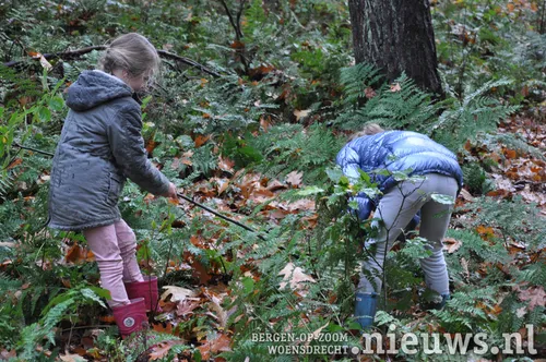 20191105 boz natuurwerkdag 005