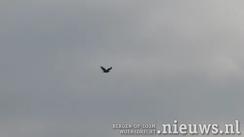 20200113 rill slikken 008