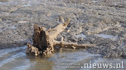 20200113 rill slikken 009