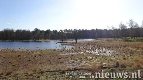 20200312 hoo goen 001