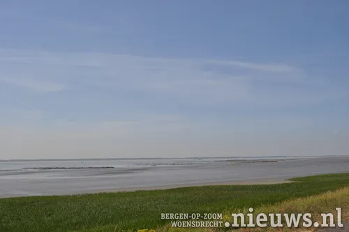 20200528 dsc 3192 02