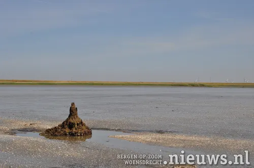 20200528 dsc 3193 14