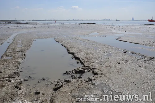 20200528 dsc 3194 03