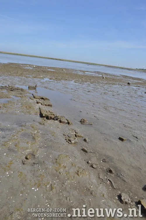 20200528 dsc 3195 05