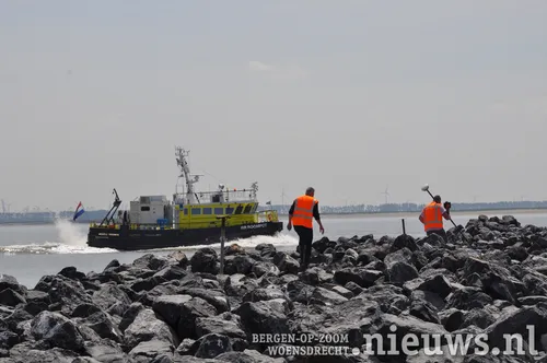 20200528 dsc 3202 09