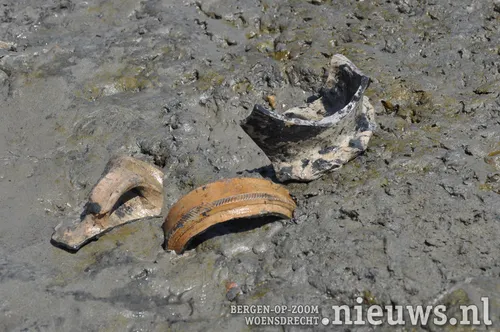 20200528 dsc 3206 08