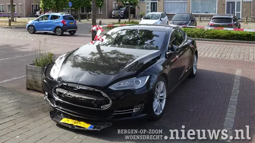 20200602 hoo petshop 002