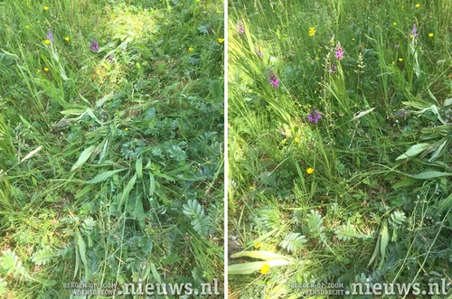 20200604 hoo zorgplicht 004