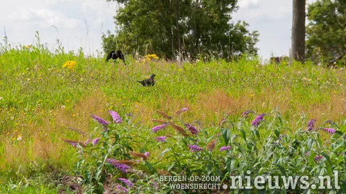 20200715 woe biodiversiteit 004