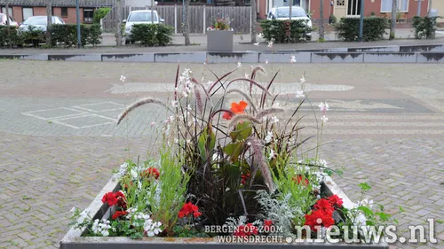 20200724 woe bloembakken 003