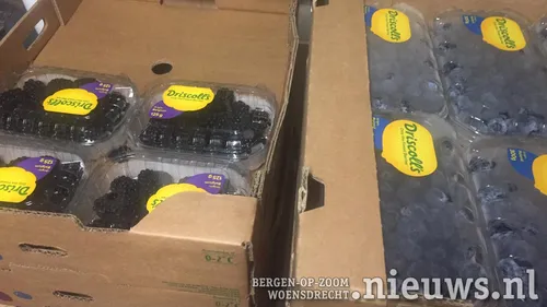 20200813 cal voedselbank 006