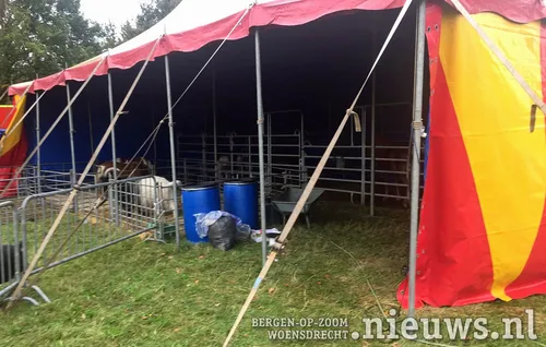 20201030 hoo voedselbank circus 003