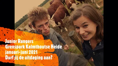 20201101 kal rangers