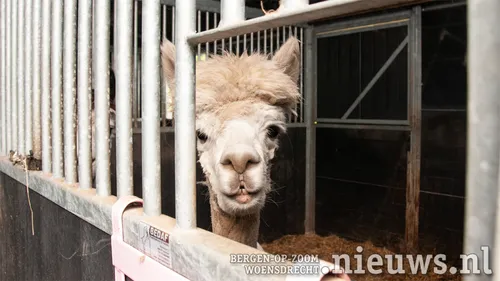 20210514 woe kinderboerderij 001