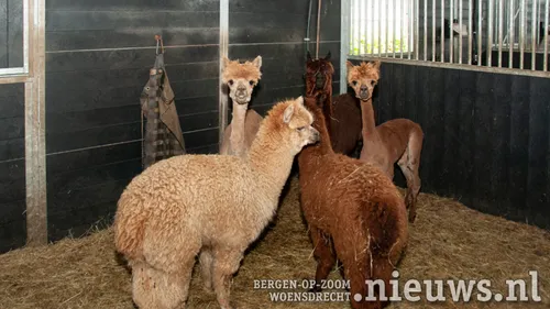 20210514 woe kinderboerderij 002