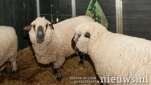 20210514 woe kinderboerderij 003