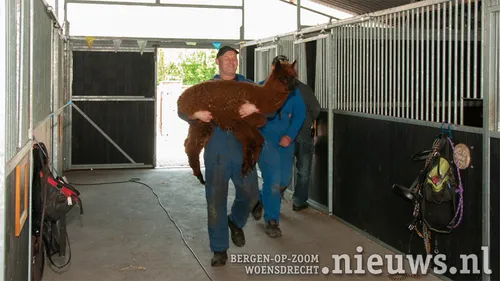 20210514 woe kinderboerderij 004