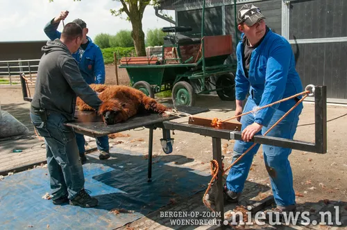 20210514 woe kinderboerderij 005